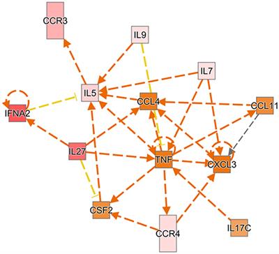 Expression of Cytokines and Chemokines as Predictors of Stroke Outcomes in Acute Ischemic Stroke